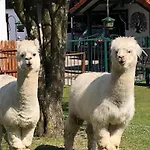 Goenn-dir-eine-auszeit-mit-familie-und-sauna *